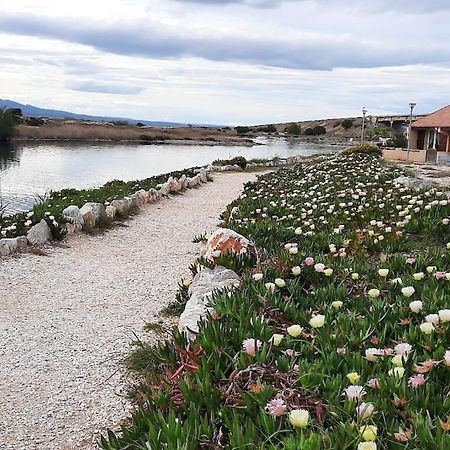Maisonnette Entre Etang Et Plage Leucate Dış mekan fotoğraf