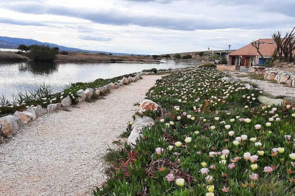 Maisonnette Entre Etang Et Plage Leucate Dış mekan fotoğraf